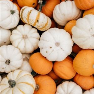 Meet your Posher, Calista